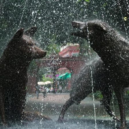 Casa Kalidy Coyoacan メキシコシティ エクステリア 写真