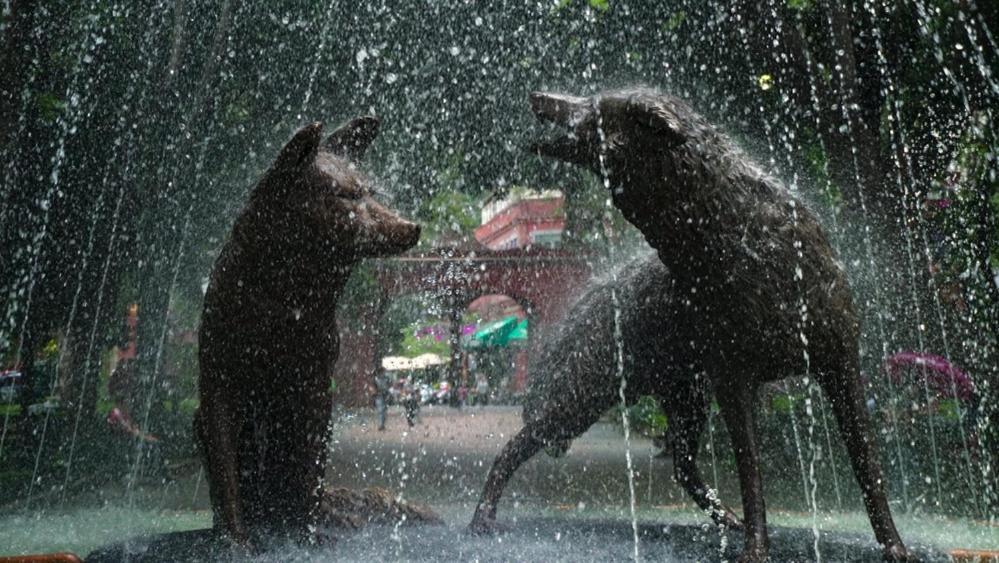 Casa Kalidy Coyoacan メキシコシティ エクステリア 写真