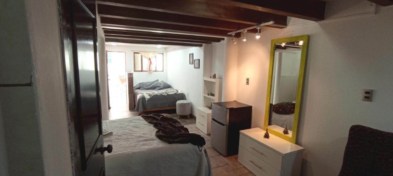 Casa Kalidy Coyoacan メキシコシティ エクステリア 写真