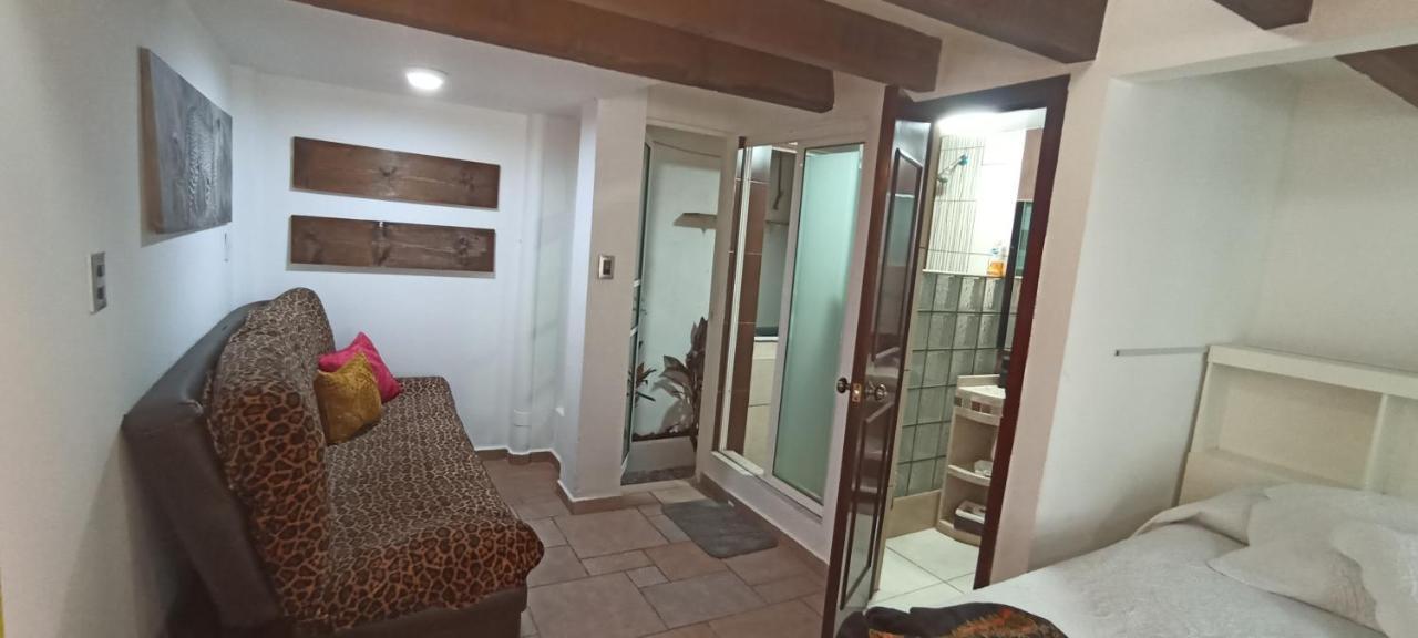 Casa Kalidy Coyoacan メキシコシティ エクステリア 写真