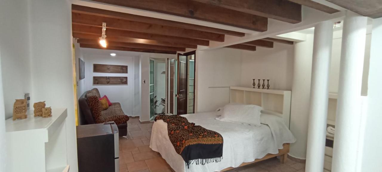 Casa Kalidy Coyoacan メキシコシティ エクステリア 写真