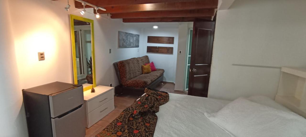 Casa Kalidy Coyoacan メキシコシティ エクステリア 写真