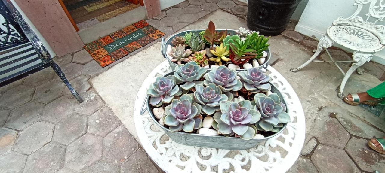 Casa Kalidy Coyoacan メキシコシティ エクステリア 写真